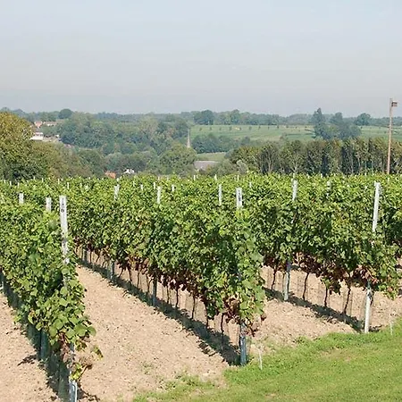 Fletcher Restaurant Bon Repos 3*