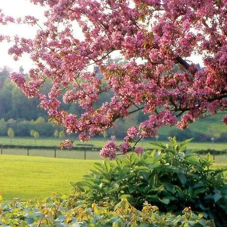 邦勒波餐厅弗莱彻酒店 酒店