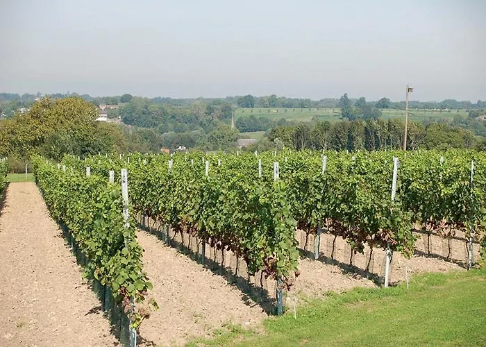 Fletcher Restaurant Bon Repos 3*