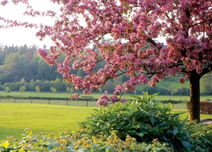 Fletcher Restaurant Bon Repos Отель